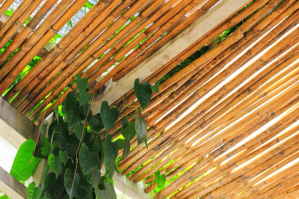 Pergola canisse bambou 