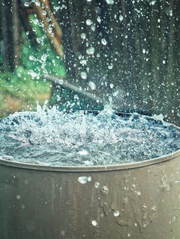 Récupérateur d'eau de pluie design est un allier esthétique et écologie chez soi