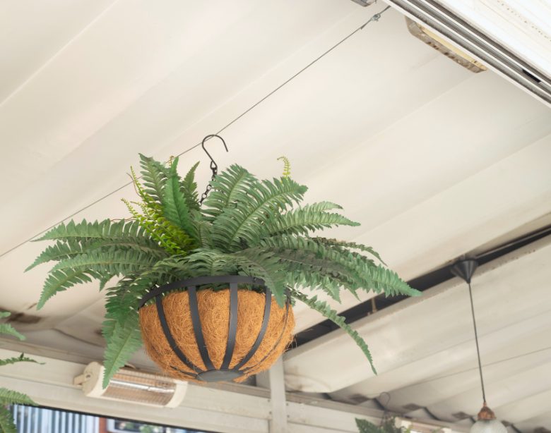 choisir et entretenir des Plantes pour suspension intérieur