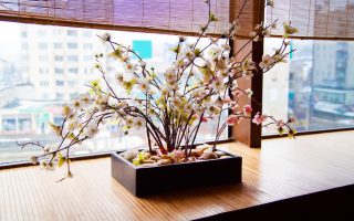 Découvrir les principes essentiels de la déco japonaise pour un intérieur zen