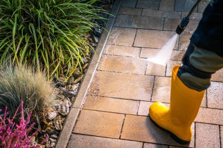Les secrets pour un démoussage naturel et efficace de votre terrasse en pierre