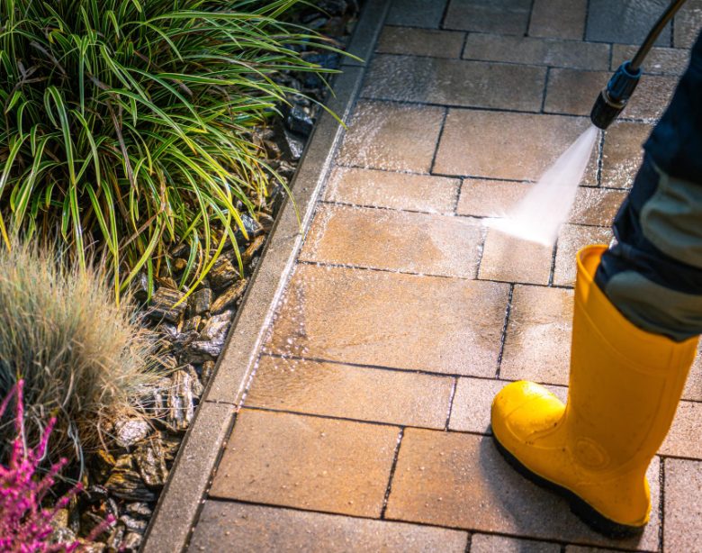 Les secrets pour un démoussage naturel et efficace de votre terrasse en pierre