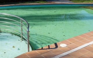 Solutions rapides et efficaces pour transformer une eau de piscine verte en un bassin cristallin