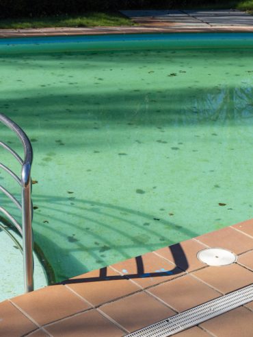 Solutions rapides et efficaces pour transformer une eau de piscine verte en un bassin cristallin
