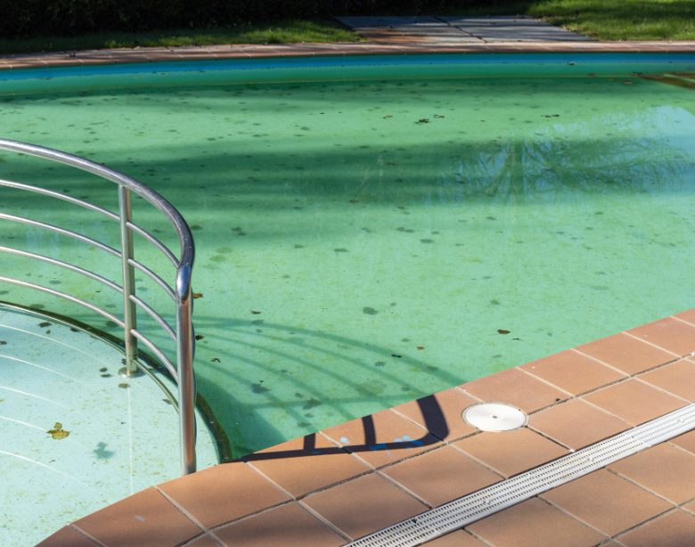 Solutions rapides et efficaces pour transformer une eau de piscine verte en un bassin cristallin