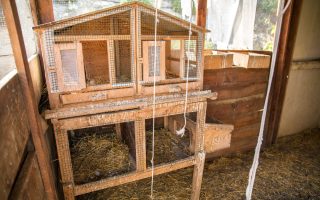 guide pratique pour Construire un poulailler soi-même