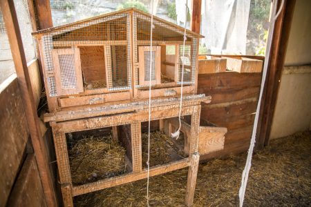 guide pratique pour Construire un poulailler soi-même